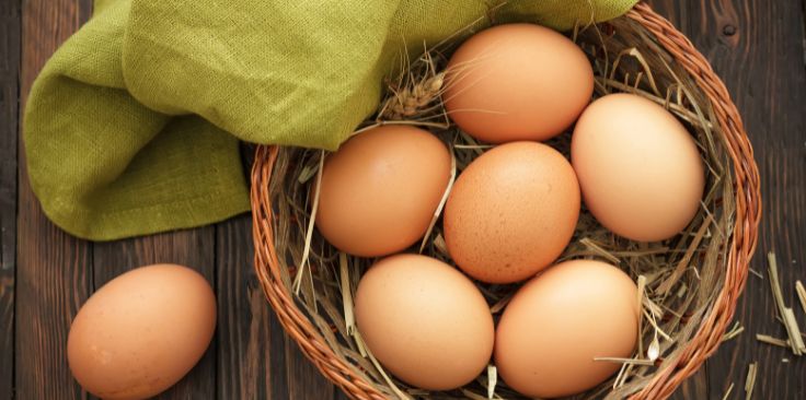 are eggs bad for lymphatic system