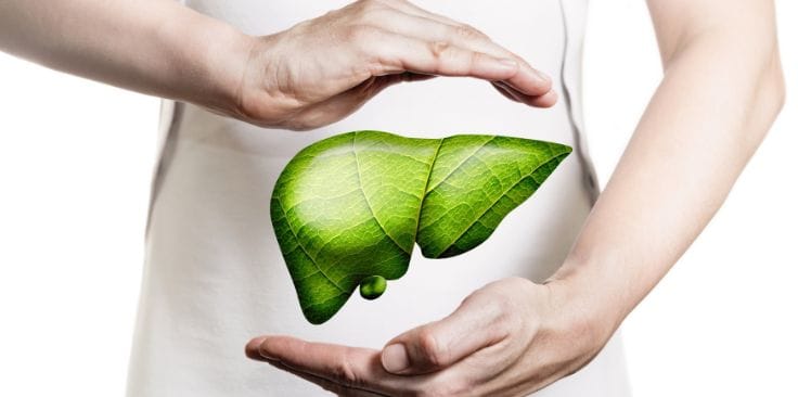 Hands surrounding a green leaf liver symbol, representing liver health and protection.