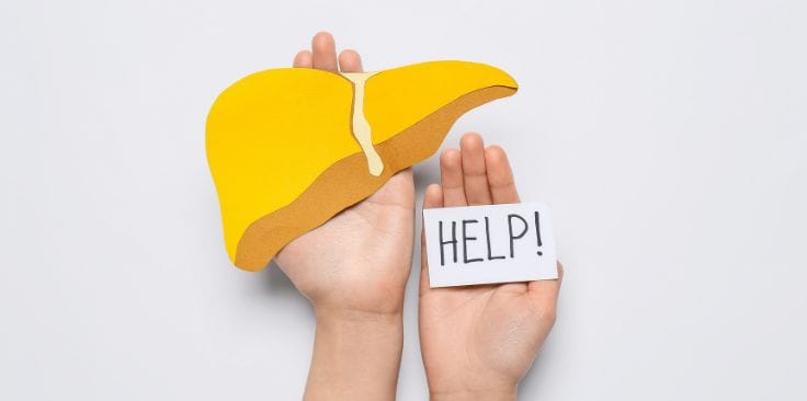 Hands holding a paper liver model and a 'HELP!' sign, asking will a colonoscopy show liver damage