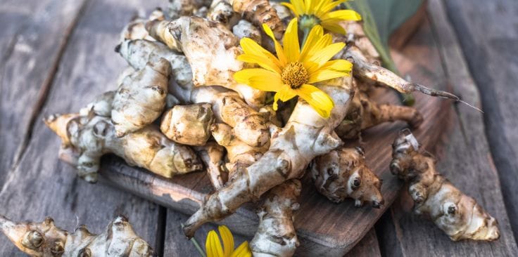 freshly harvested goldenseal roots with yellow blooms on a rustic surface.