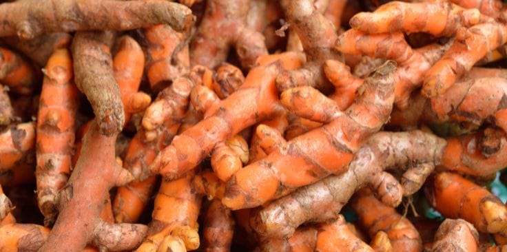 a close-up of fresh turmeric roots with their distinctive orange hue and rough skin. 