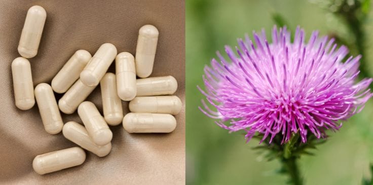 can you take milk thistle and nac together safely.