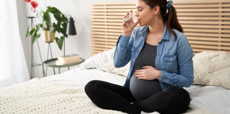 can pregnant women take milk thistle.