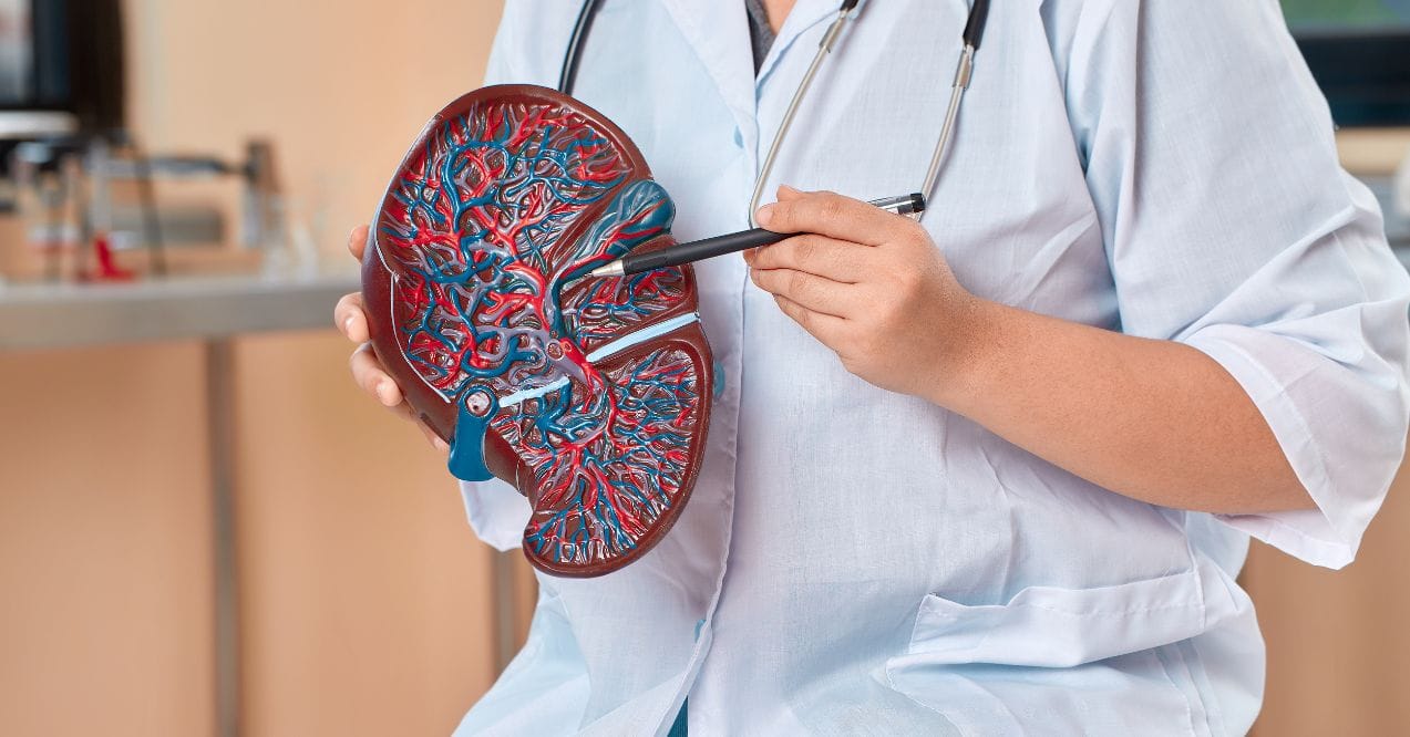 the ultimate fatty liver diet plan (pdf download).